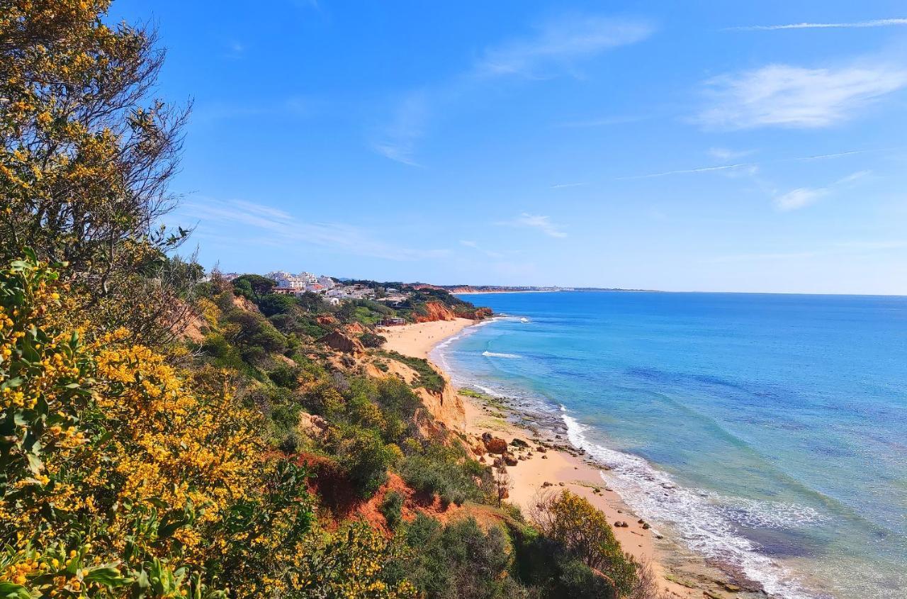 Luxury Townhouse In Complex With Town And Ocean View By Be Cherish Apartamento